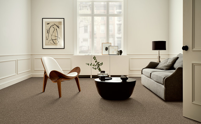 carpet and white paint with black couch
